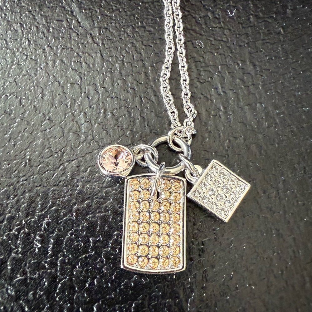 Touchstone Crystal Tag Along Necklace. 1669N.